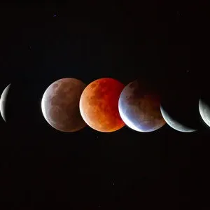 Images Dated 2021 May: 28 May 2021