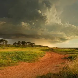 Tracking the storm