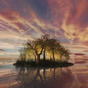 Alberi sotto la cupola di vetro protettiva in cielo al tramonto.
