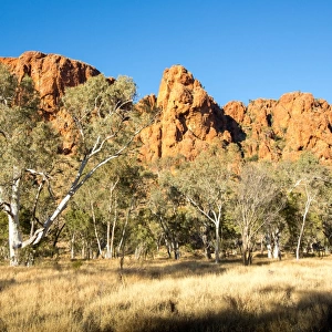 Trephina Gorge. Alice Springs. Australia