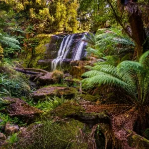 Triplet Falls at Great Otway National Park, Victoria Triplet Falls at Great Otway National Park, Victoria