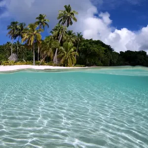 Tropical Beach Print of Qamea Island in Fiji