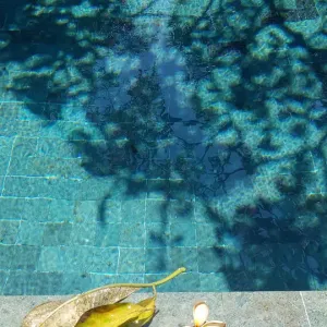 Tropical Feels