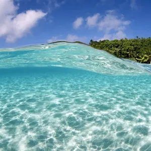 Tropical paradise Tropical paradise