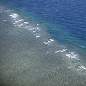 Tropical reef, Great Barrier Reef, Queensland, Australia
