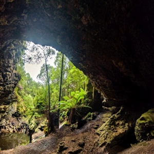 Trowutta Arch in Tarkine Forest, Tasmania