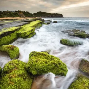 Turimetta beach in Sydney Turimetta beach in Sydney