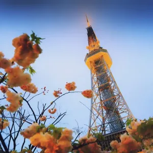 Images Dated 2015 April: 14 Apr 2015