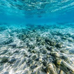 Cabarita Ocean Floor Print Cabarita Ocean Floor Print