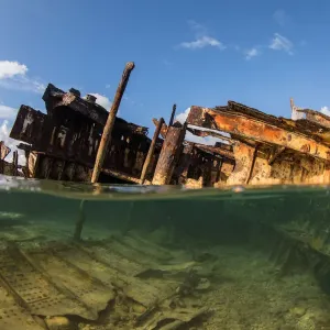 Underwater Heron Island