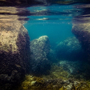 Underwater shot from Green Pools at William Bay National Park