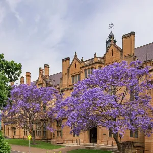 University of Sydney, Australia University of Sydney, Australia