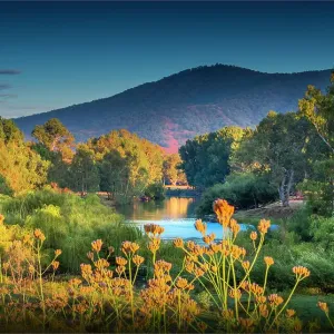 Upper Murray river, Alpine high country, East Gippsland, Walwa, Victoria, Australia