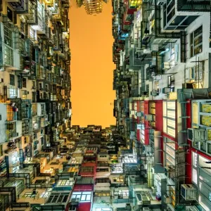 Urban Anthill