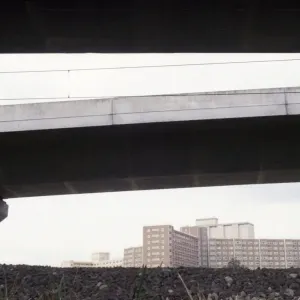 urban environment