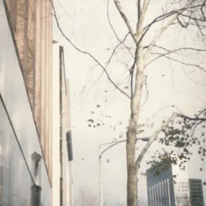 Urban scenery with tree