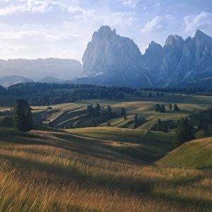 Valley in Val Gardena, with Langkofel / Sassolungo mountain in the background