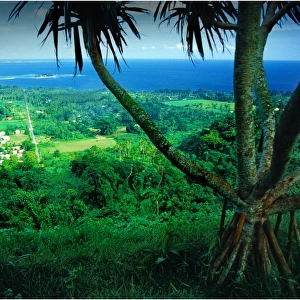 A view to the coastline, Island of Efate, Vanuatu