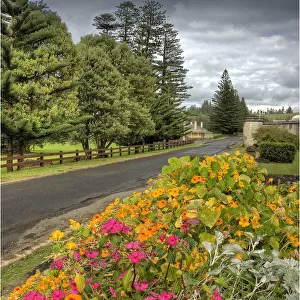 A view of colonial buildings in Quality row, Norfolk Island