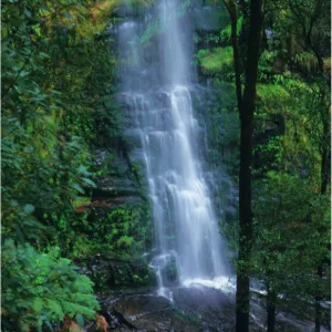 A view down to Erskine Falls, near Lorne, Victoria