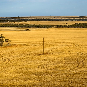 View of farmland from Pildappa Rock at Erie Peninsula, South Ausralia