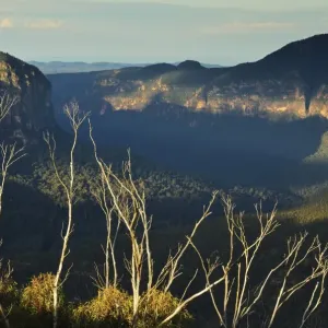 View of Grose Valley, Blue Mountains View of Grose Valley, Blue Mountains