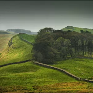 A view of Hadrians wall in the Northumberland district of England