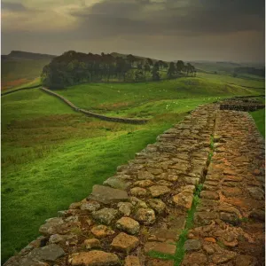 Images Dated 2011 October: 2 Oct 2011
