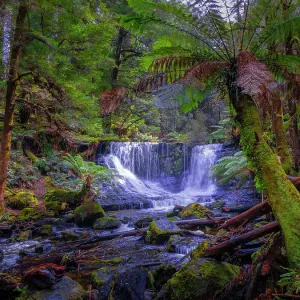 A view to Horseshoe falls in the Mount Field National Park southern Tasmania, Australia