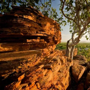 View of Kununurra from Kellys Knob