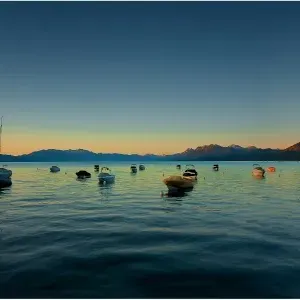 Images Dated 2012 June: 3 Jun 2012