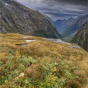 The view at Mackinnon Pass, high up in the mountainous region of the Fiordland National Park, Southland, south island, New Zealand