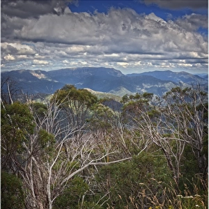View at Mount Buller, Victoria, Australia