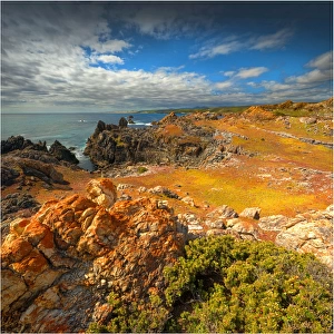 A view north on the Tarkine coast, western Tasmania