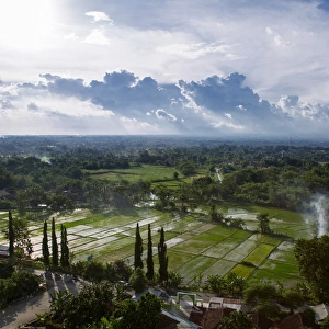 View of Ricefields and the Surroundings in Kewu Plain Near Prambanan, Yogyakarta, Central Java, Indonesia