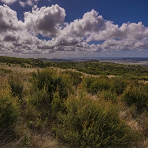 A view towards the Strzelecki range, Flinders Island, Bass Strait, Tasmania, Australia