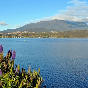 View of Tasman bridge