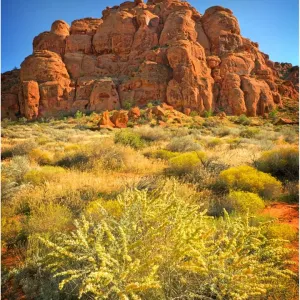 Images Dated 2011 October: 22 Oct 2011