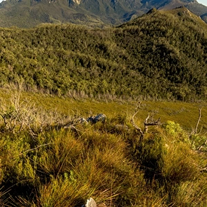 View to West Portal from Eastern Arthur Range, Southwest Tasmania