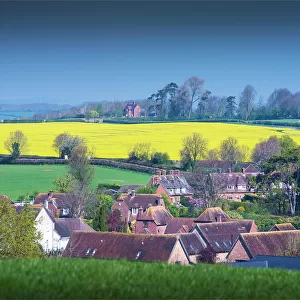 The village and countryside at Horton, east Dorset, England, United Kingdom