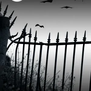 Visualize Fear - Bats flying in front of the moon