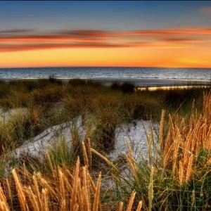 Vivid sunset Vivid sunset