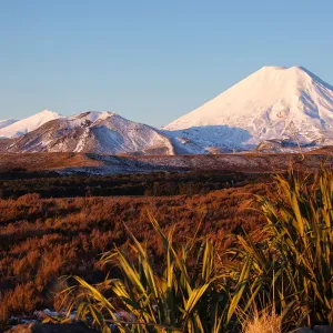 Volcanic scenery with Mt Ngauruhoe in Tongariro National Park