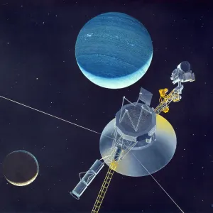Images Dated: 1981