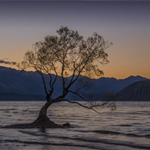 Wanaka lake at dusk, South Island, New Zealand