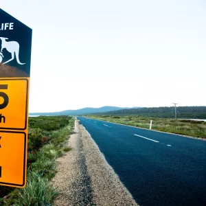 Warning sign for wildlife. Tasmania Australia