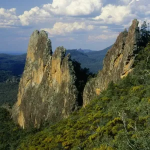 Warrumbungle National Park, New South Whales Australia