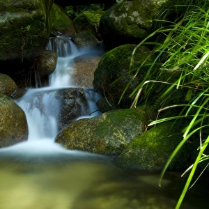 Water over boulders in rainforest