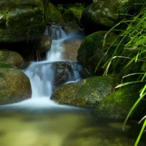 Water over boulders in rainforest Water over boulders in rainforest