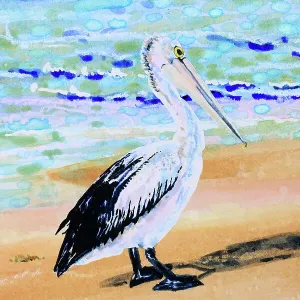 Detail of a Watercolor Painting of an Australian Pelican on a Beach no sky